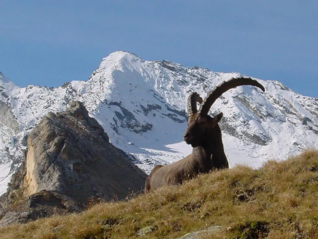 Natural landscape in VVF Val-Cenis Haute-Maurienne