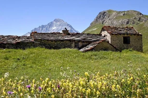 Activities in VVF Val-Cenis Haute-Maurienne