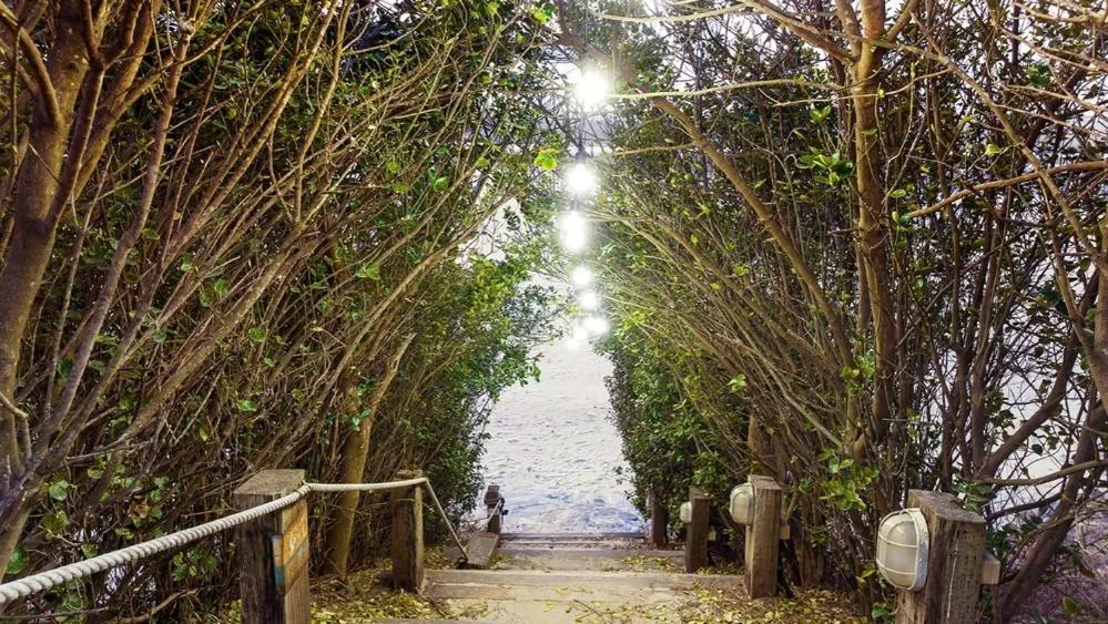 Taean Sandhill Resort