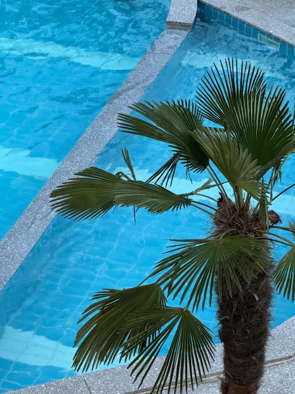 Road96 Caravan and Poolvilla