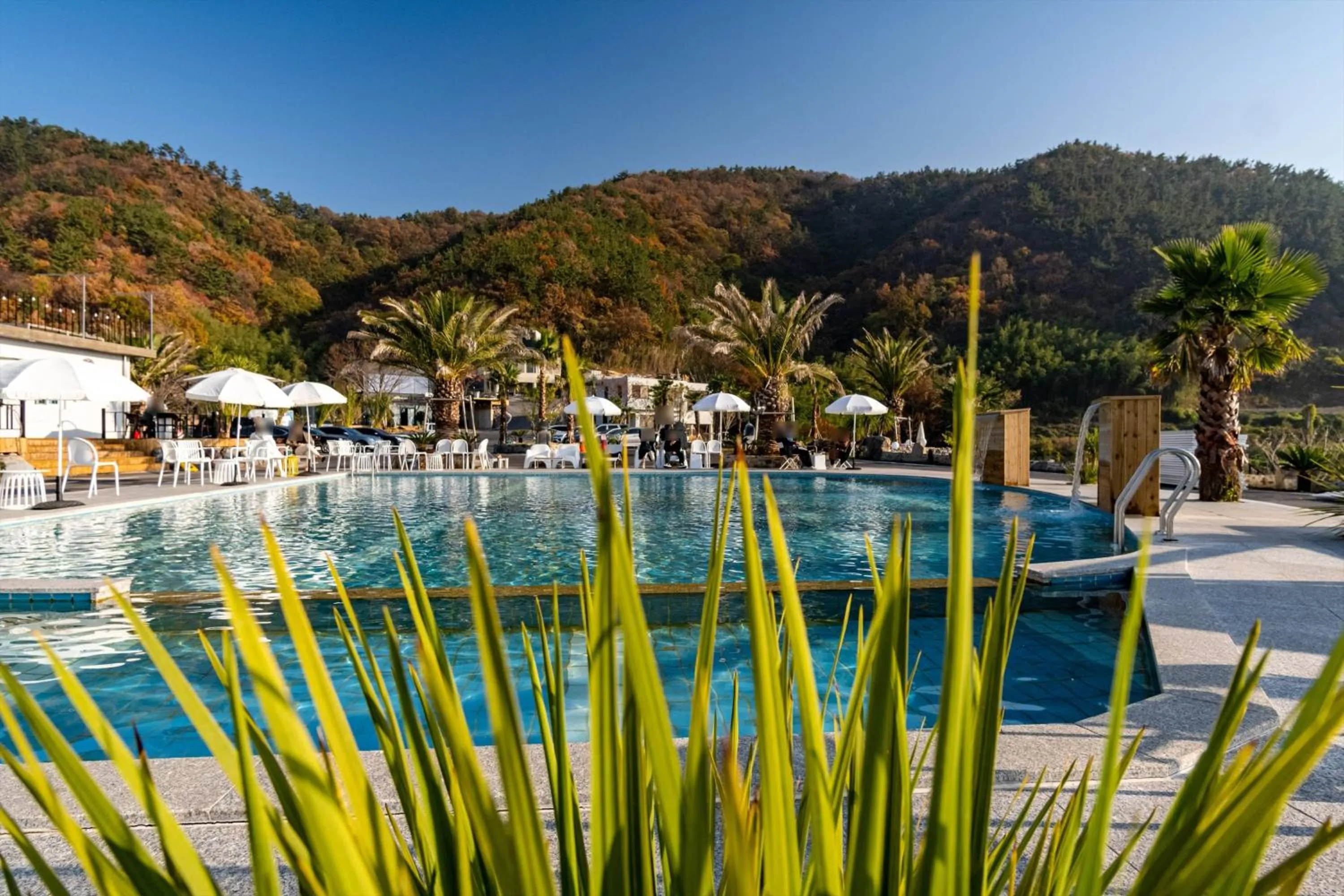 Road96 Caravan and Poolvilla