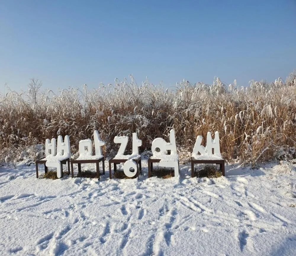 Buyeo Eoksae Jeongwon Pension