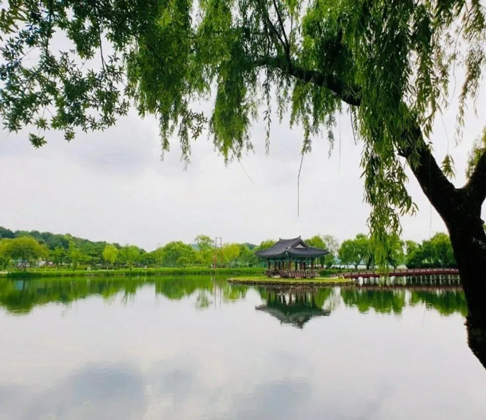 Buyeo Eoksae Jeongwon Pension