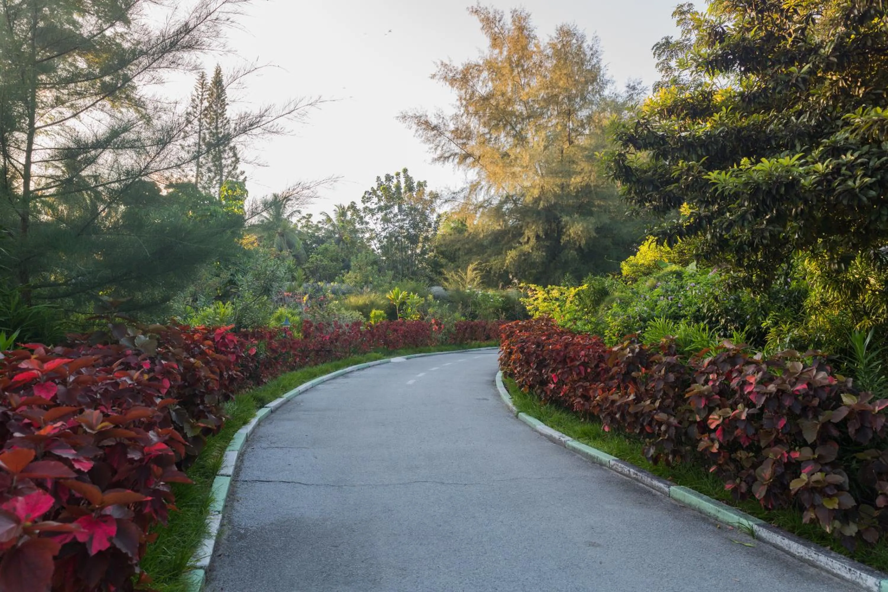 Garden in Equator Village Maldives