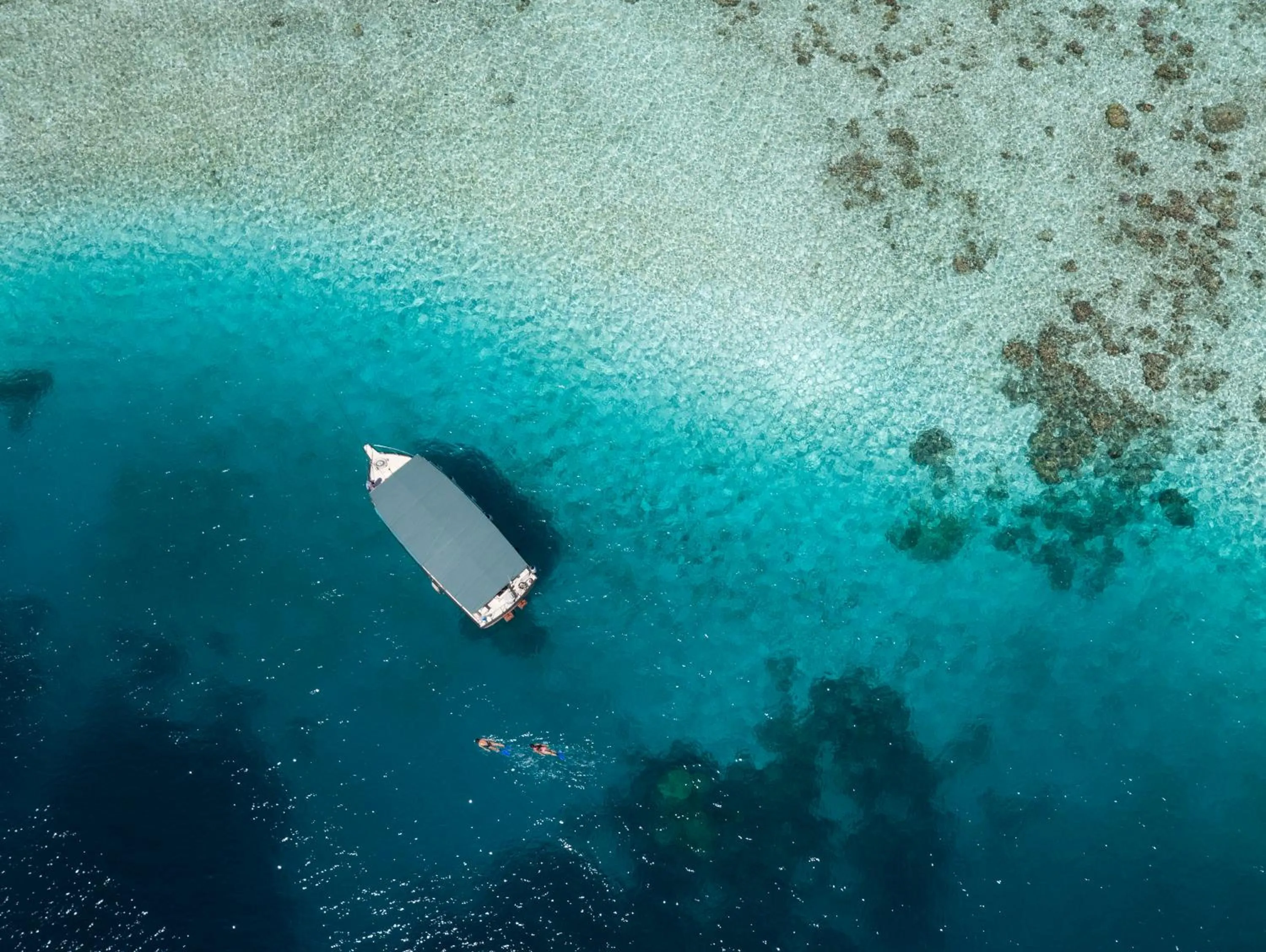 Snorkeling in Equator Village Maldives