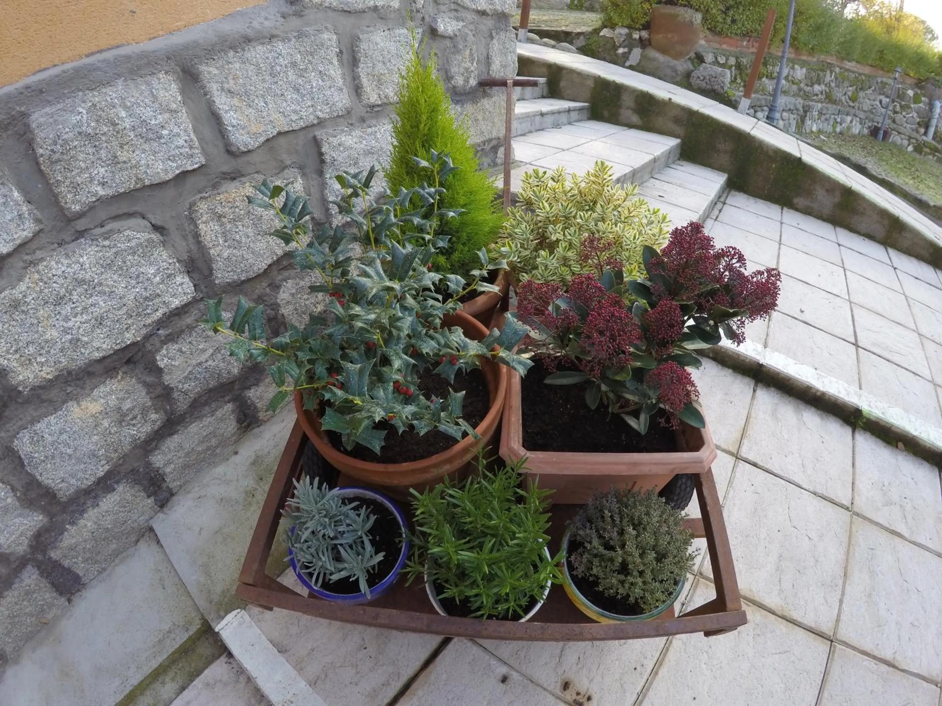 Property building in Hotel Rural El Arca de Noé