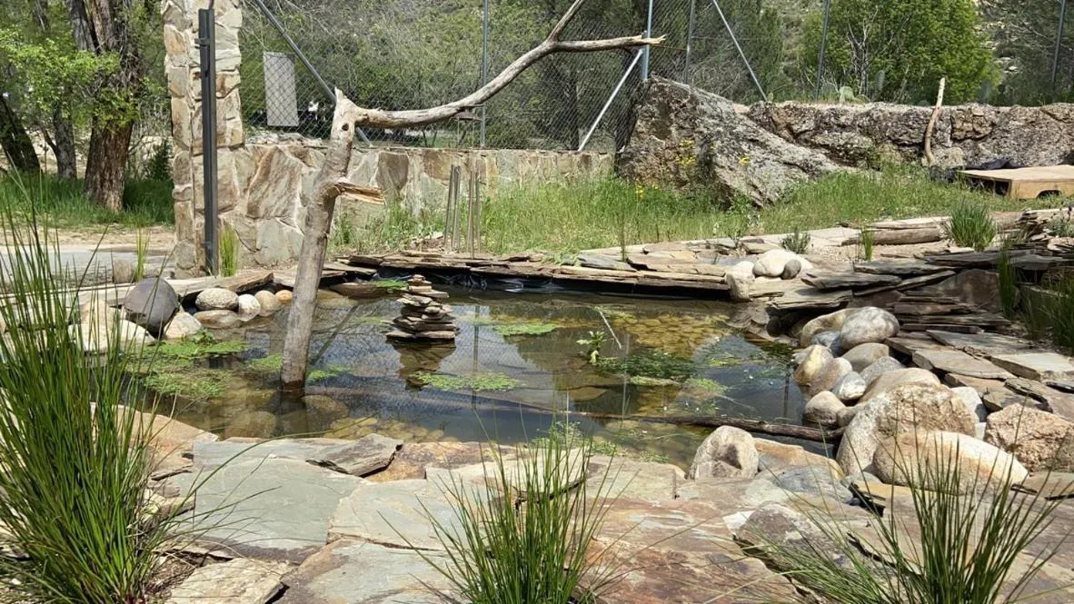 Garden in Hotel Rural El Arca de Noé