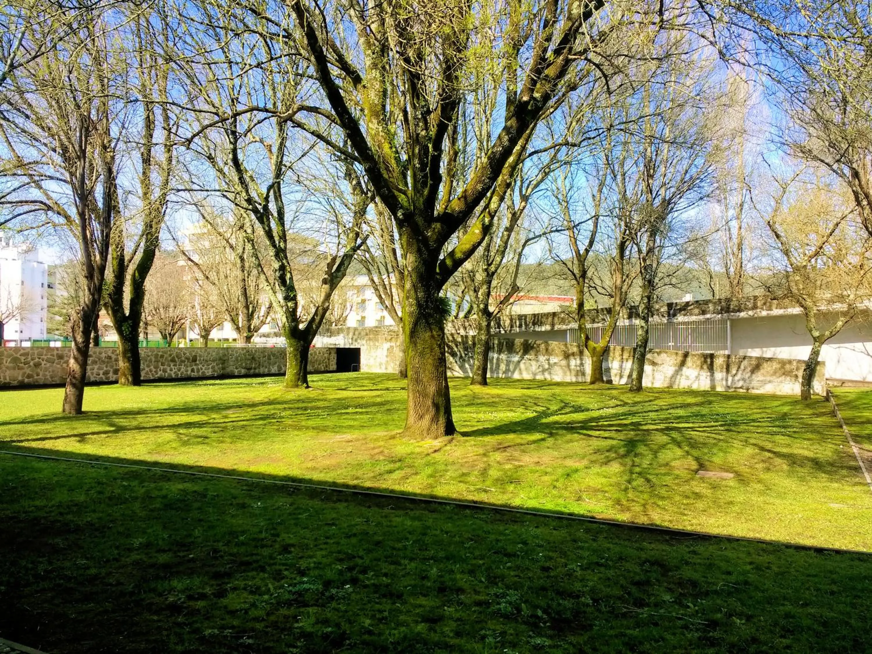 Garden in HI Viana do Castelo - Pousada de Juventude