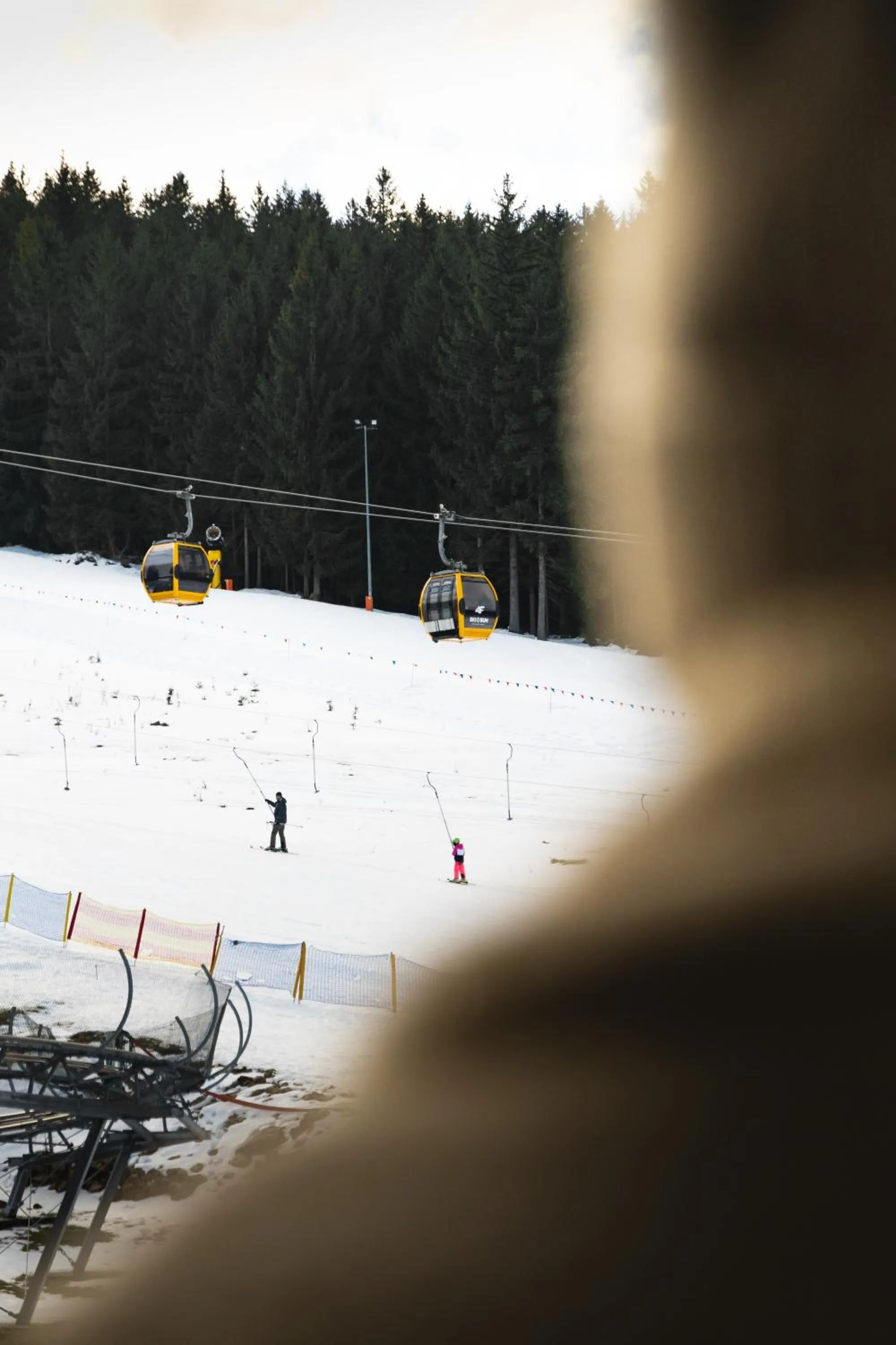 Day in Forest Park Resort & SPA