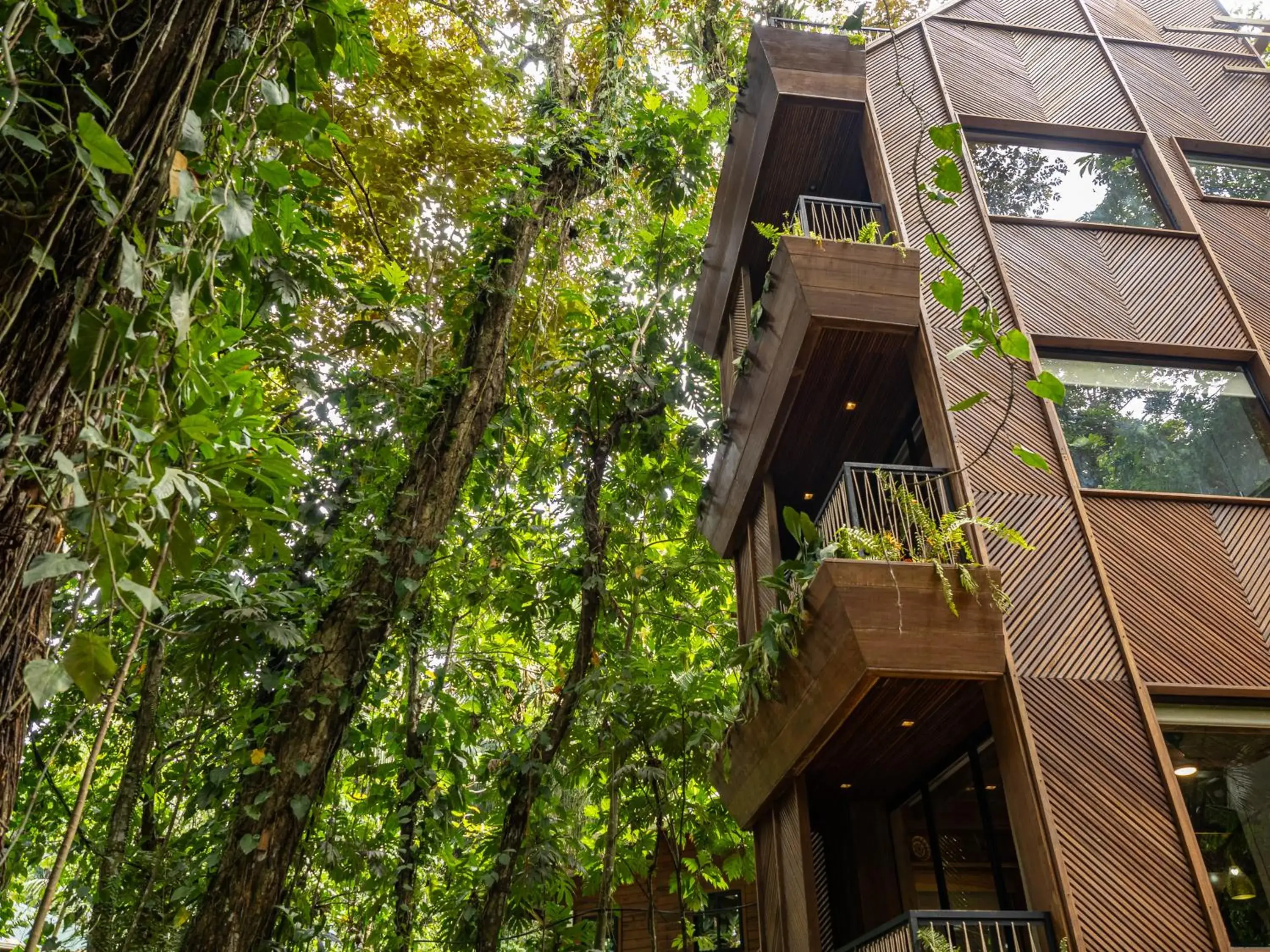 Jungle Immersion W/AC in Palmar Beach Lodge Jungle Immersion W/AC in Palmar Beach Lodge