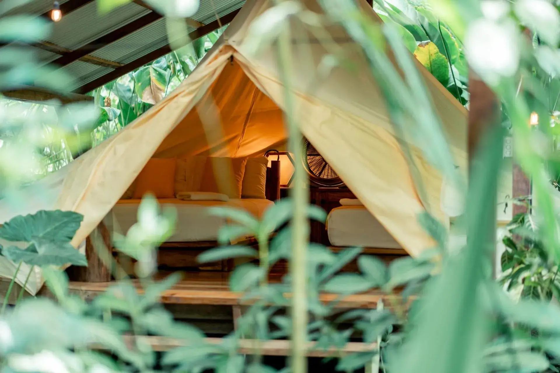 Rainforest Tent - Two Double Beds in Palmar Beach Lodge Rainforest Tent - Two Double Beds in Palmar Beach Lodge