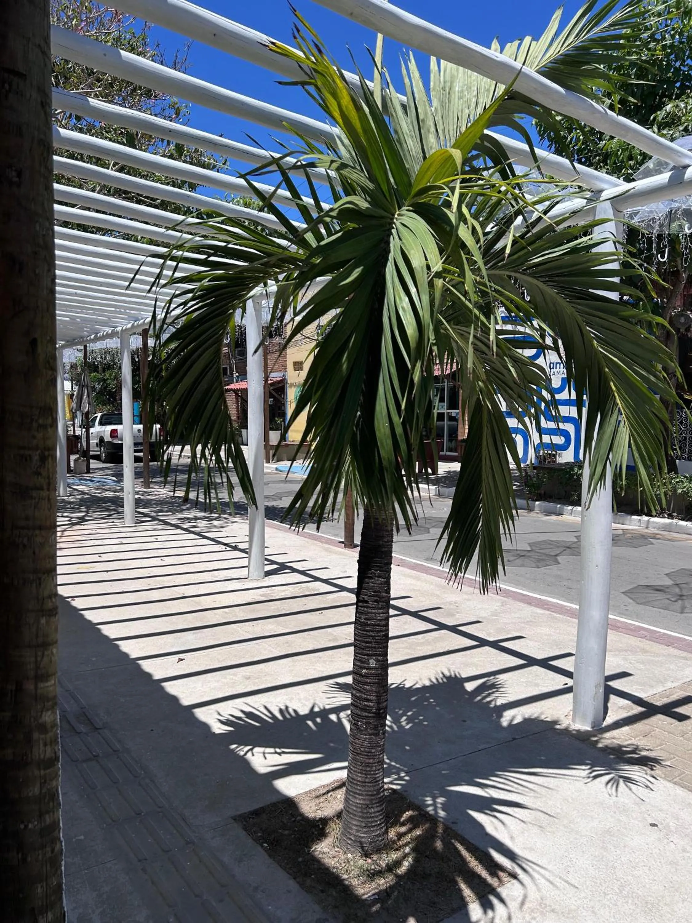 Property building in Pousada Aconchego