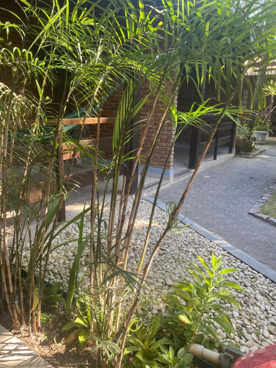 Property building in Pousada Aconchego