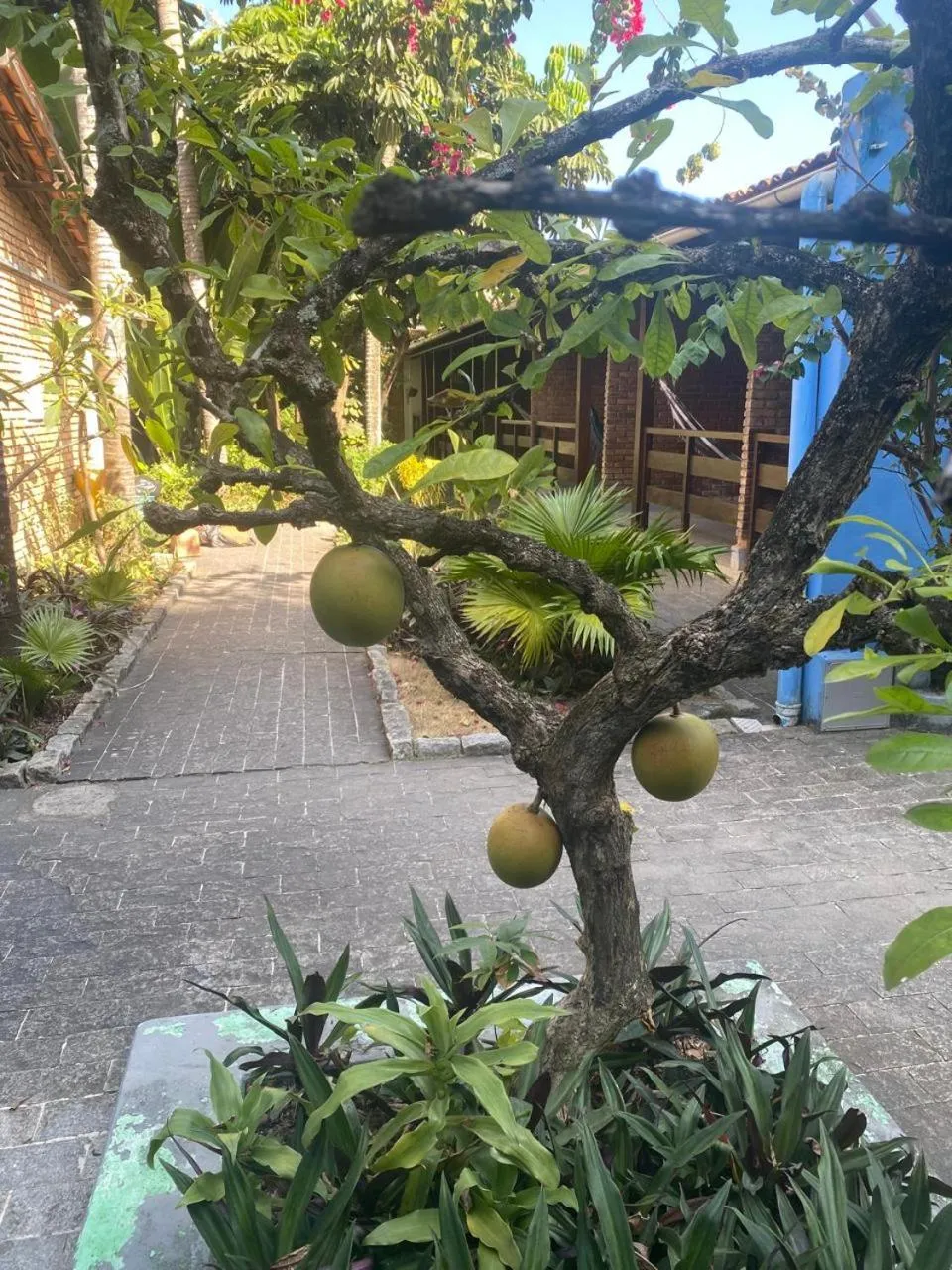 Property building in Pousada Aconchego