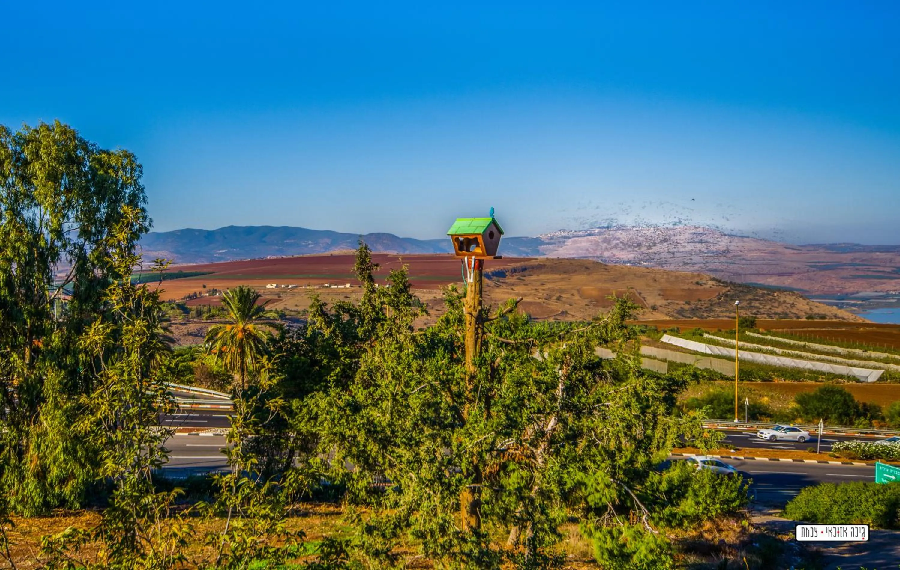 Day in Beautiful Lake View Wooden House