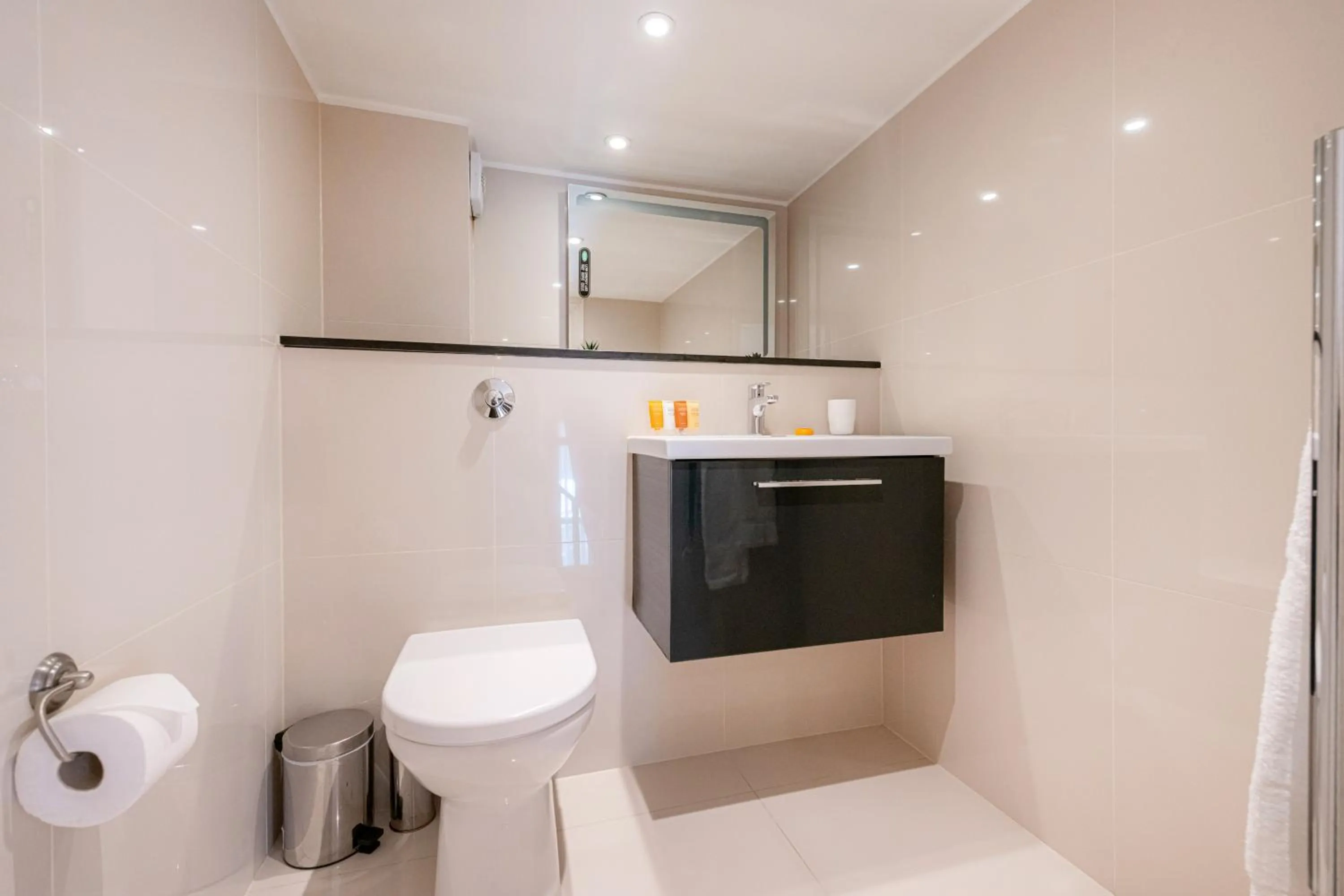 Toilet in Queensgate Court