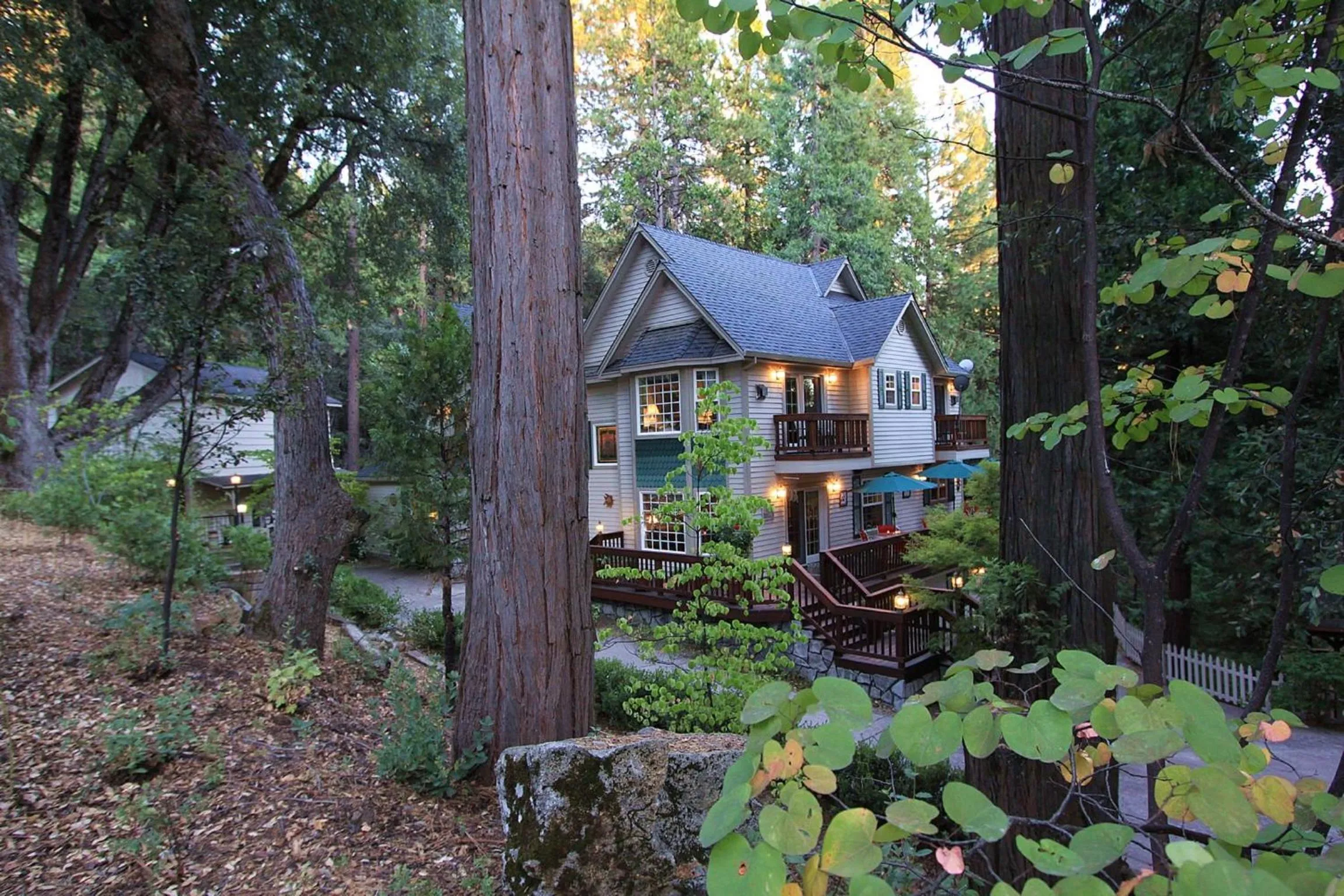 Garden in McCaffrey House Bed and Breakfast Inn