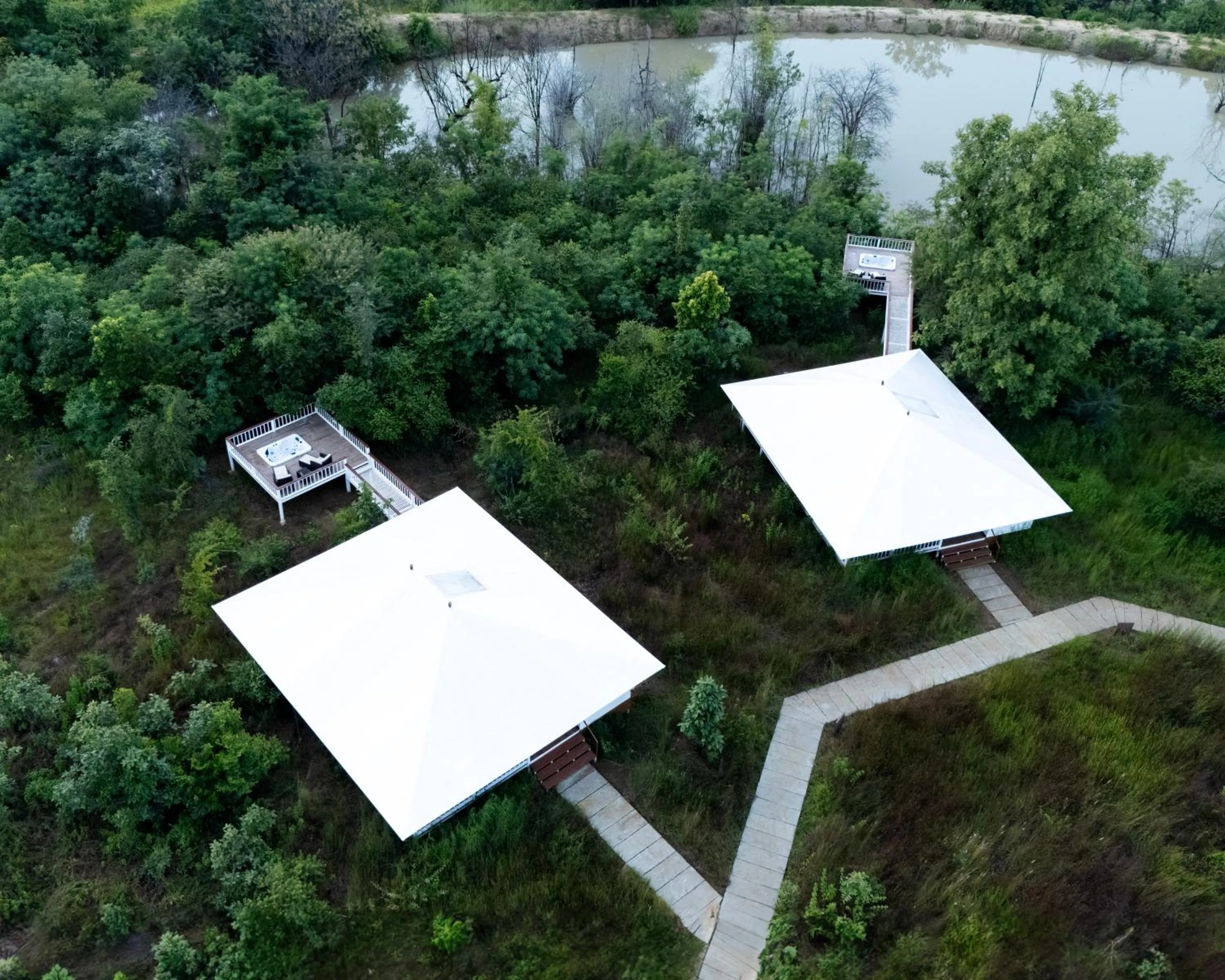 Other in Tree of Life Ramvilas, Bandhavgarh