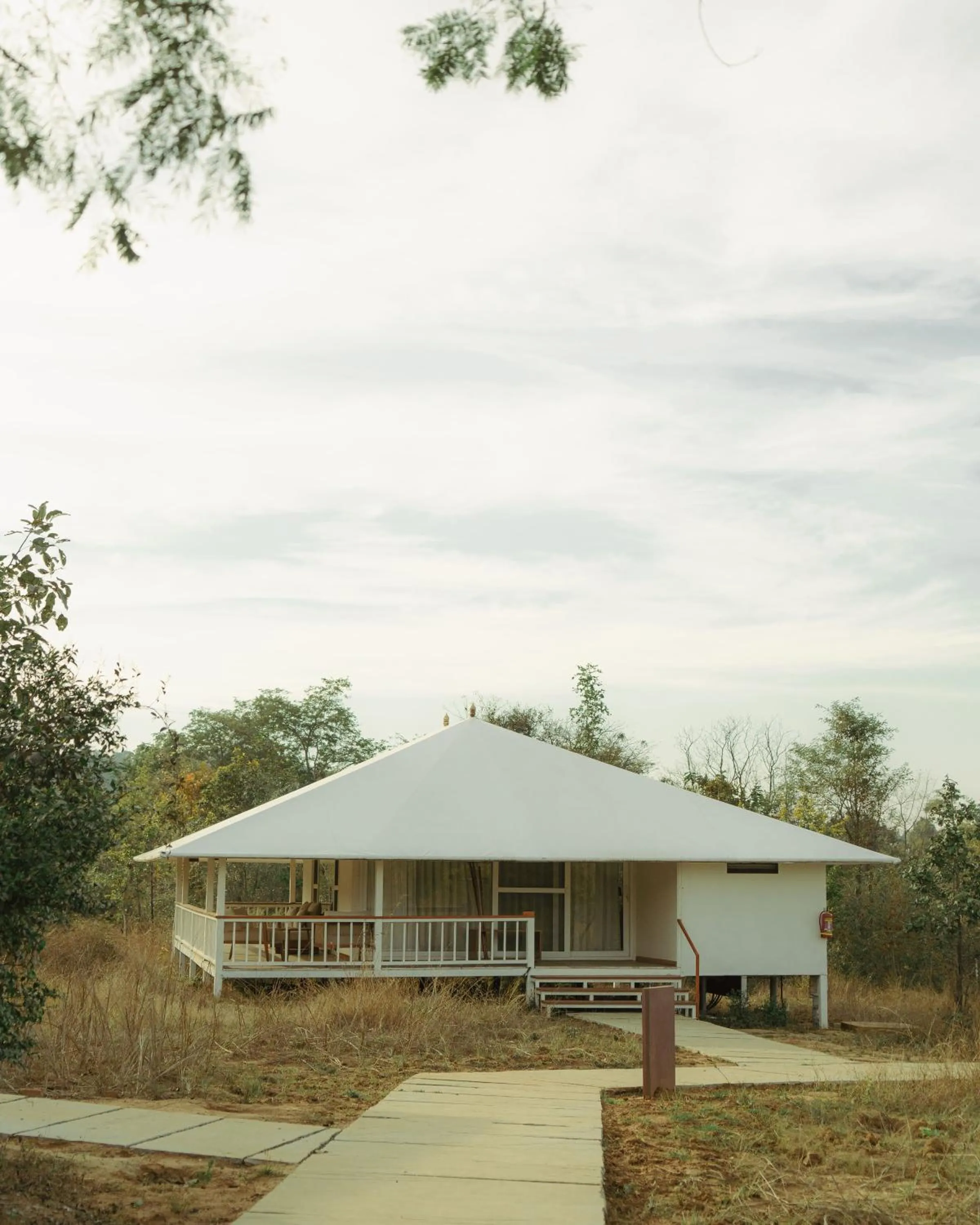 View (from property/room) in Tree of Life Ramvilas, Bandhavgarh
