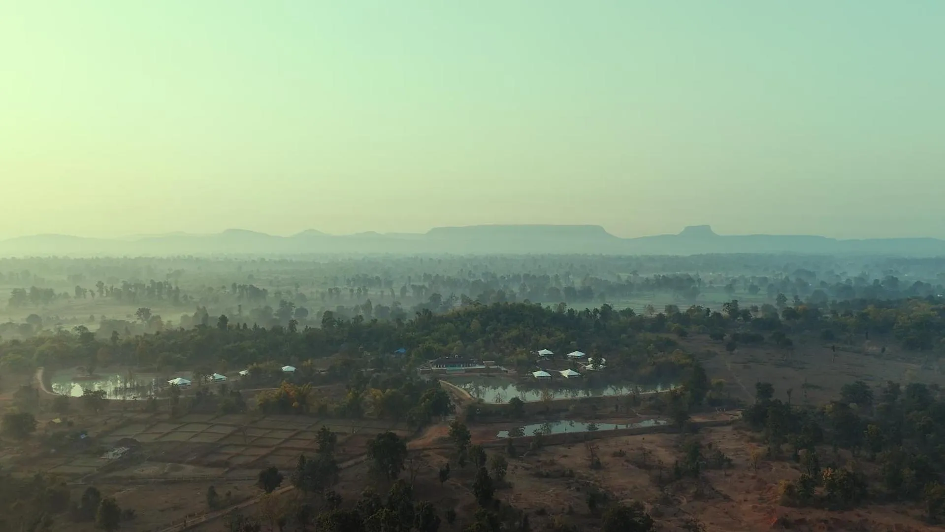 View (from property/room) in Tree of Life Ramvilas, Bandhavgarh