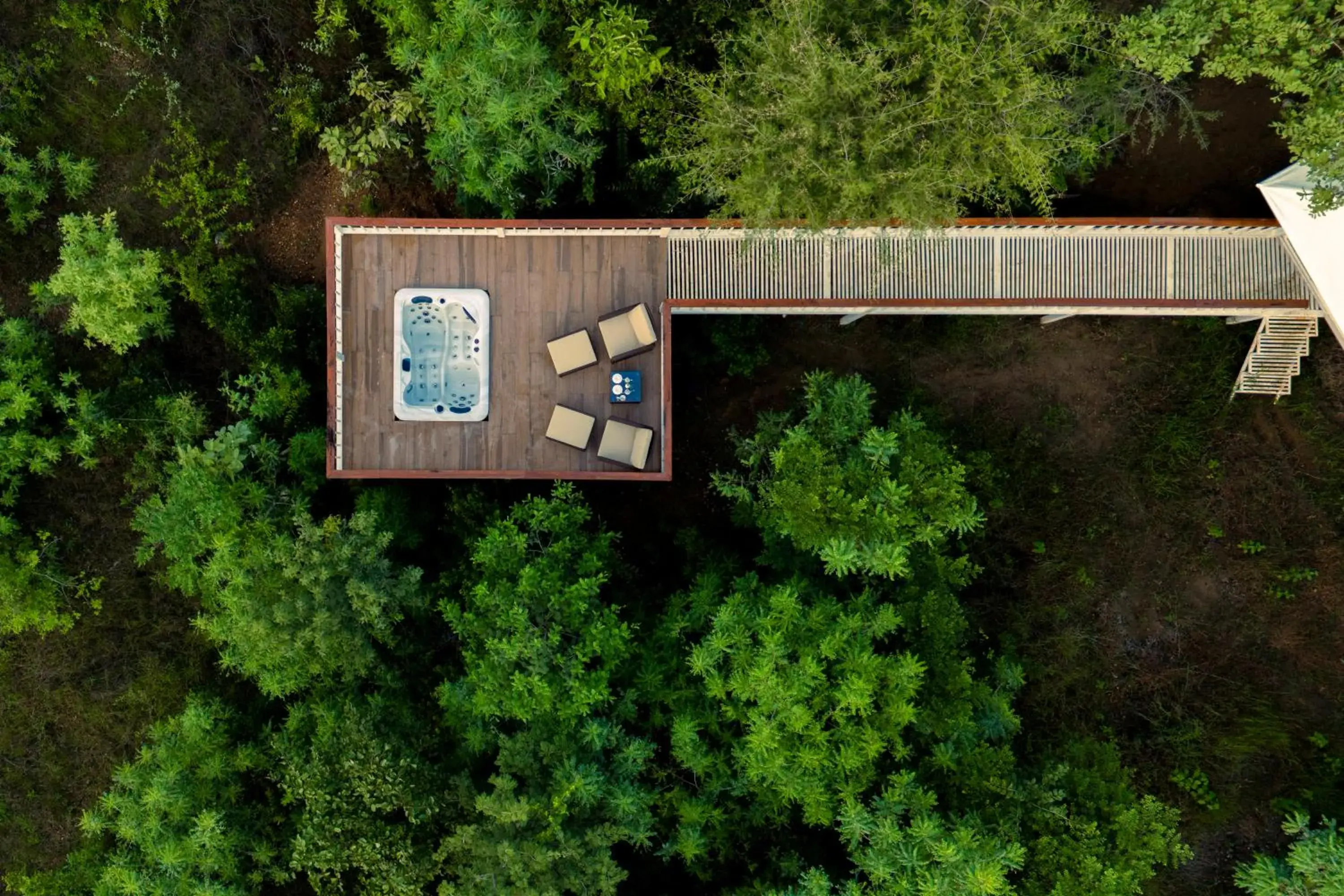 Tent in Tree of Life Ramvilas, Bandhavgarh Tent in Tree of Life Ramvilas, Bandhavgarh
