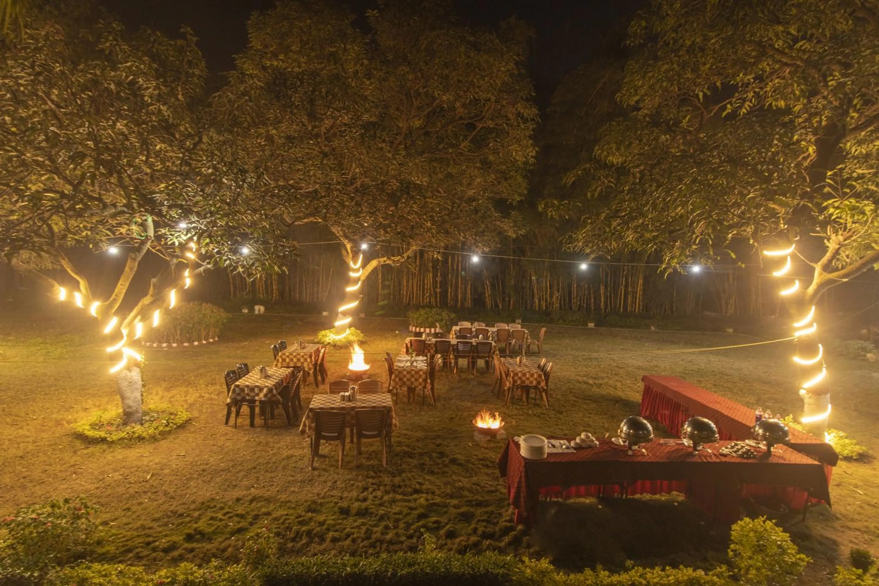 Night in WOW STAYZ2 Misty Meadows