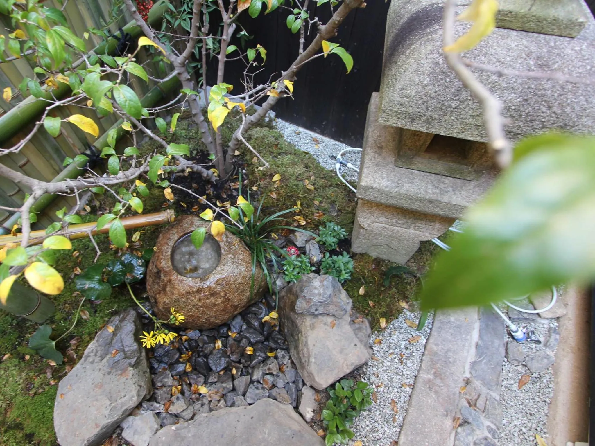 Garden in Brian Machiya Inn