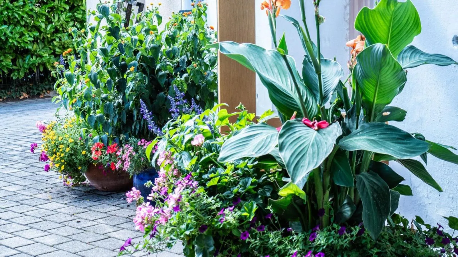 Hotel Villa Rückert