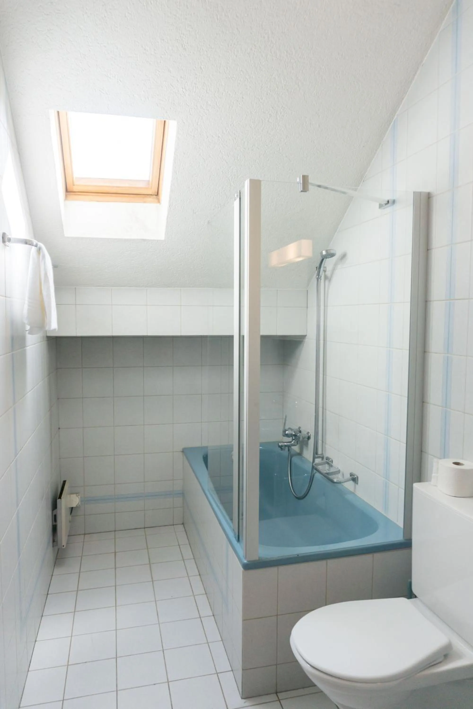 Bathroom in Speiserestaurant Traube