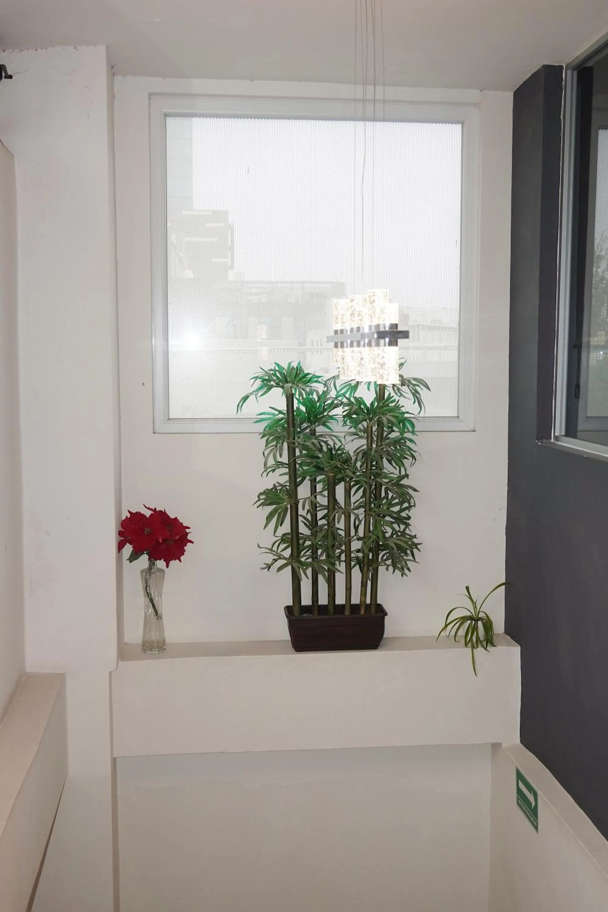 Decorative detail in Adhoc Cintermex