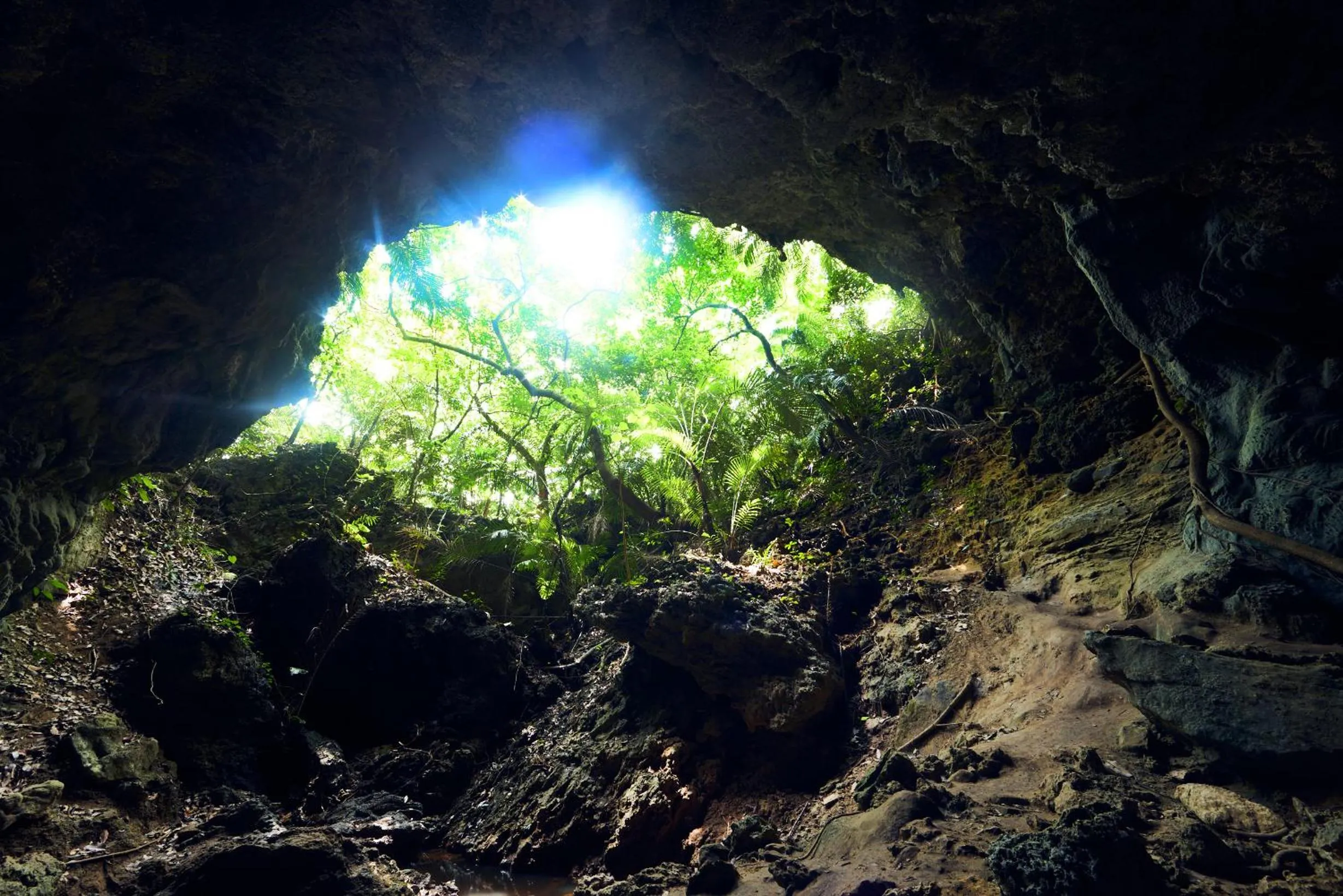 Iriomote Hotel by Hoshino Resorts