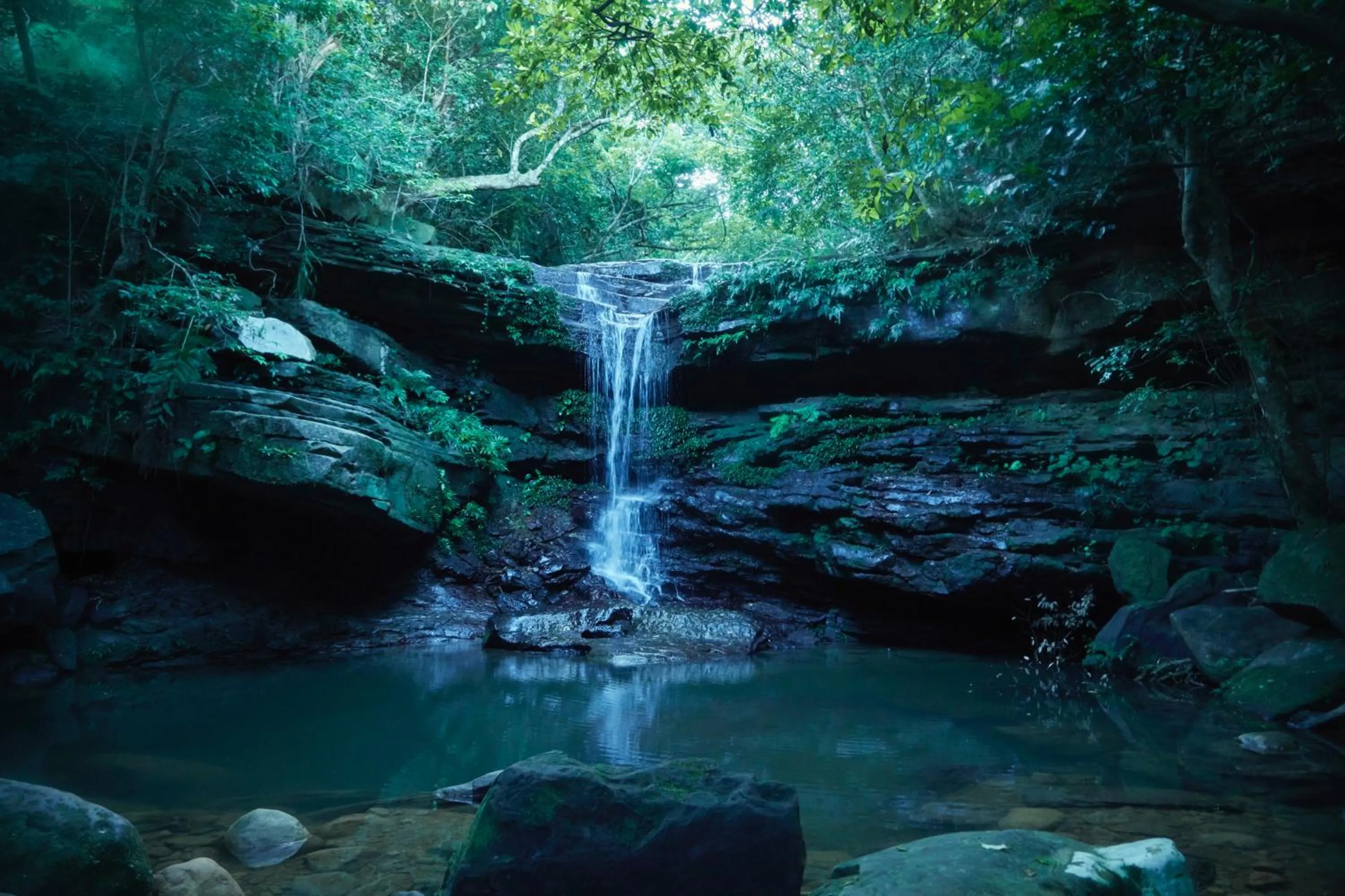 Iriomote Hotel by Hoshino Resorts