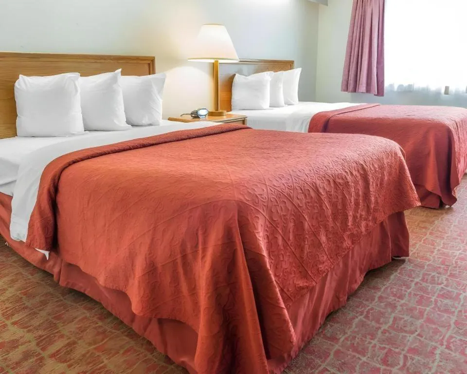 Bed in Quality Inn Royle