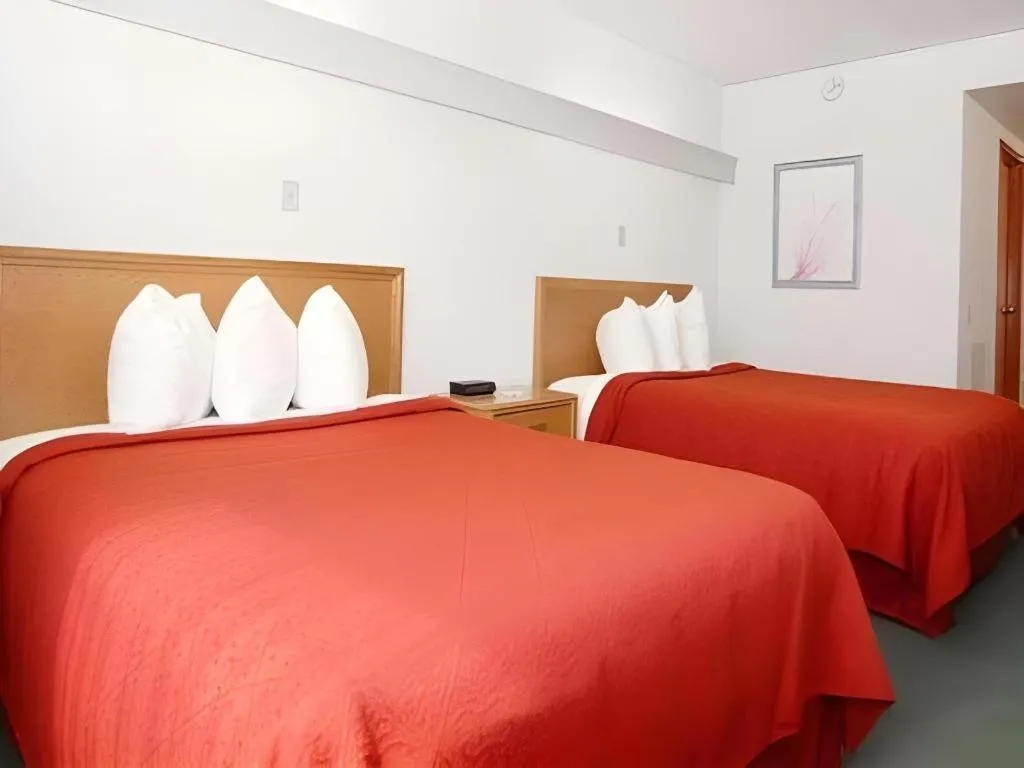 Bed in Quality Inn Royle