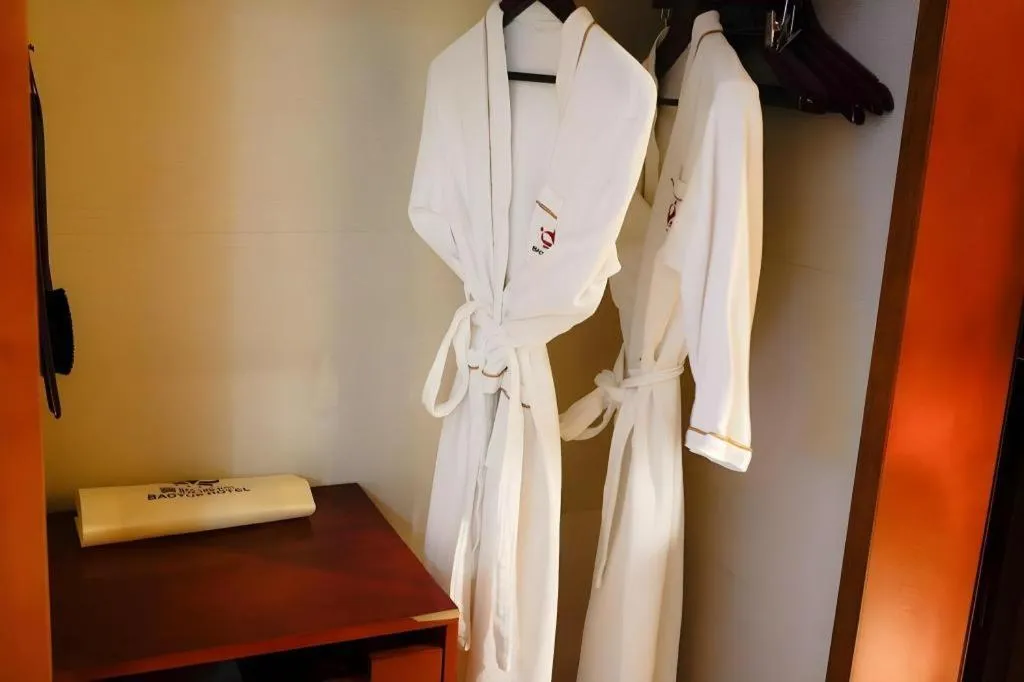 Shenzhen Bao Yue Hotel