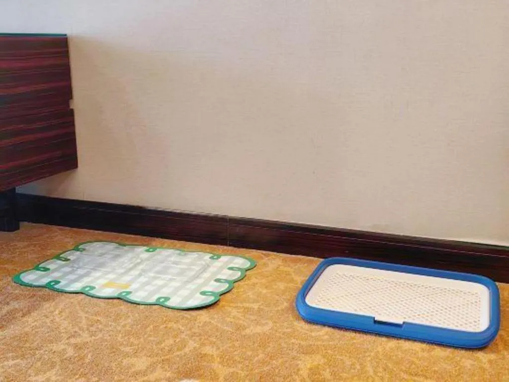 Country Garden Phoenix Hotel Yunfu