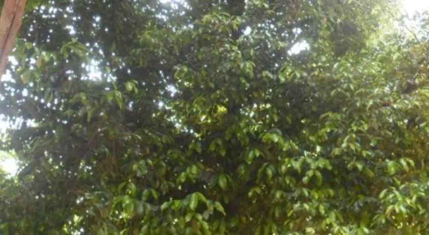 Mahaweli Regent Hotel