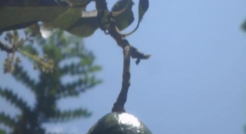 Mahaweli Regent Hotel