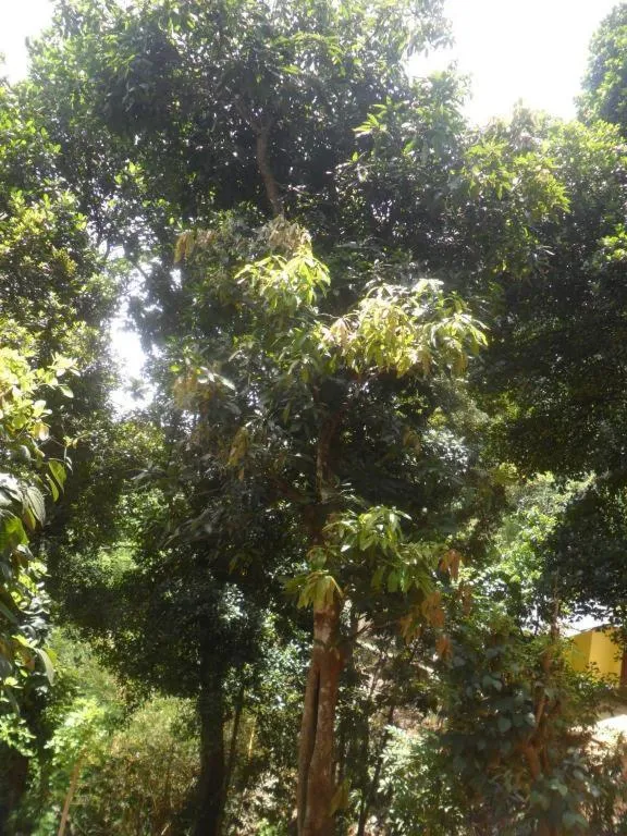 Mahaweli Regent Hotel