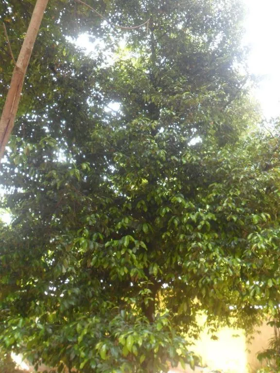 Mahaweli Regent Hotel