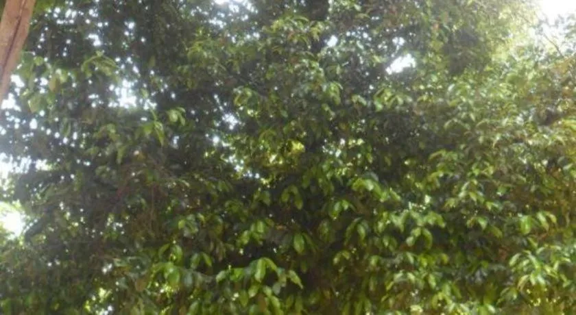 Mahaweli Regent Hotel