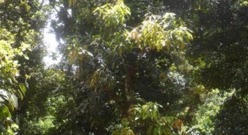 Mahaweli Regent Hotel