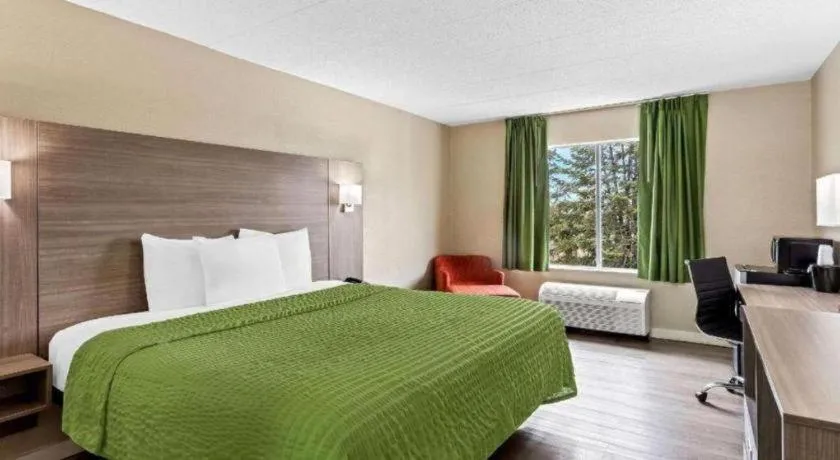 Bed in Econo Lodge Willowbrook