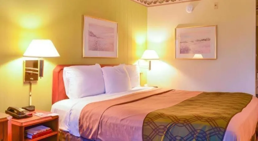 Bed in Econo Lodge Willowbrook