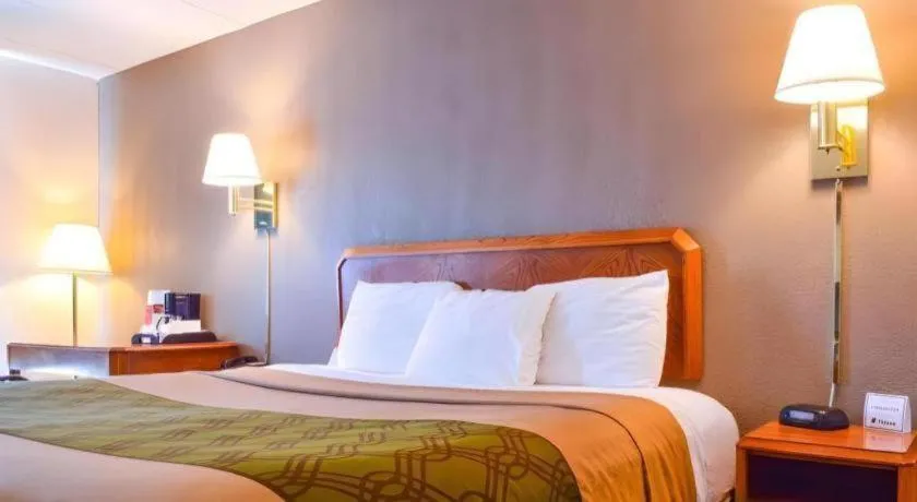 Bed in Econo Lodge Willowbrook