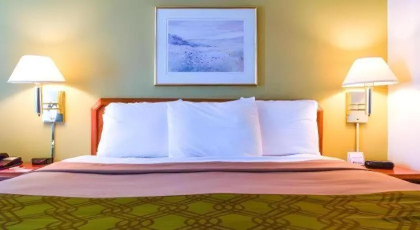 Bed in Econo Lodge Willowbrook