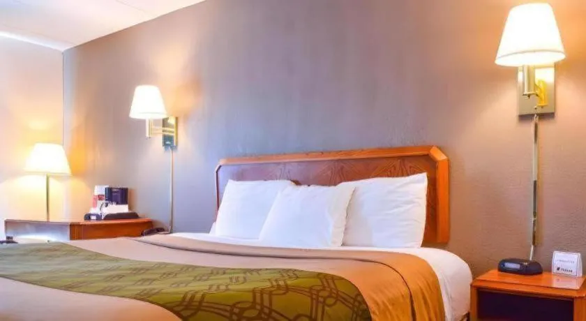 Bed in Econo Lodge Willowbrook