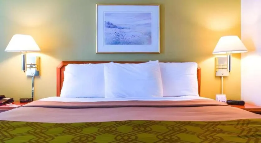 Bed in Econo Lodge Willowbrook