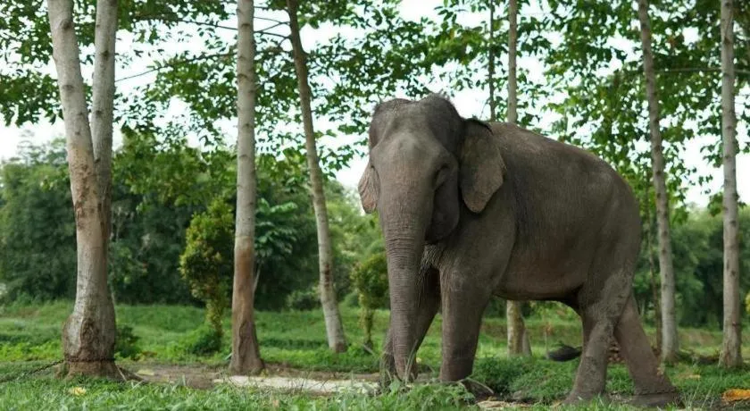 Ayola First Point Hotel Pekanbaru