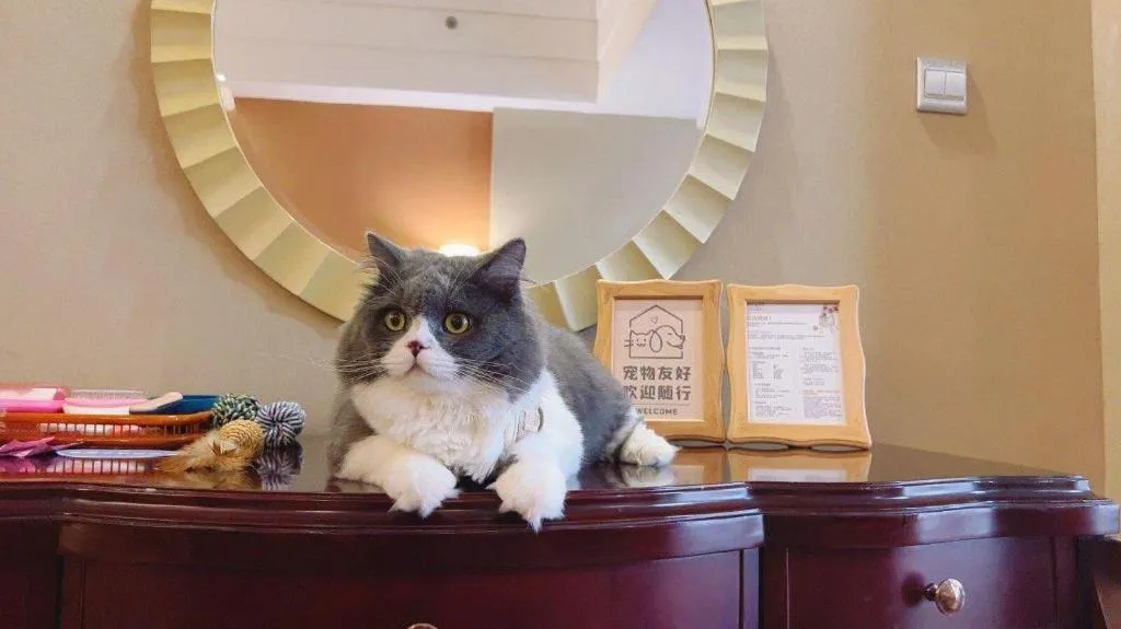 Country Garden Phoenix Hotel Xinhui Jiangmen